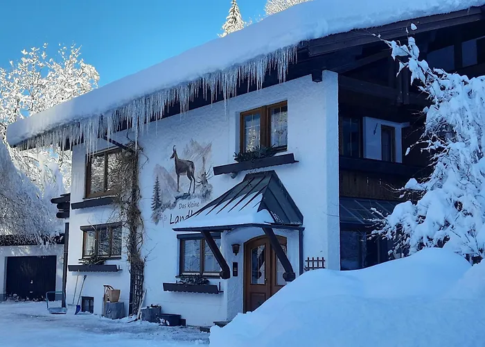 Wohnung Laika - Ihre Allgaeu-Auszeit Mit Hund شقة *